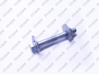 Комплект эксцентрика TG-48190-30070 TiGuar